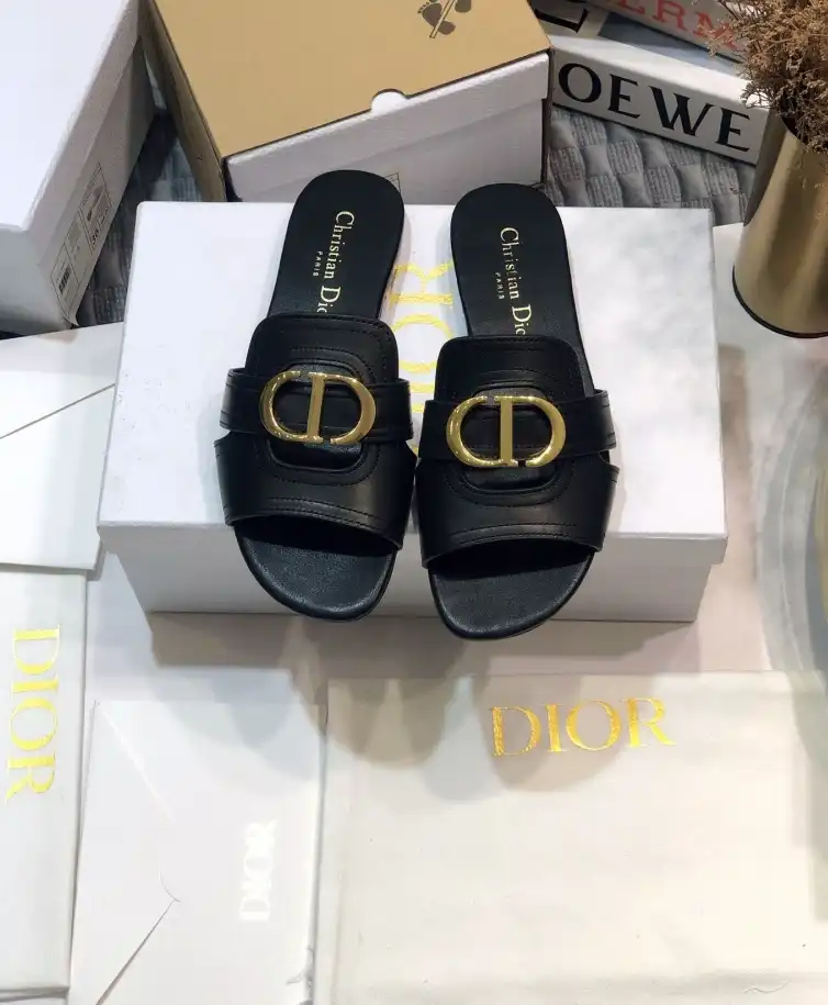 hype Christian Dior Slippers