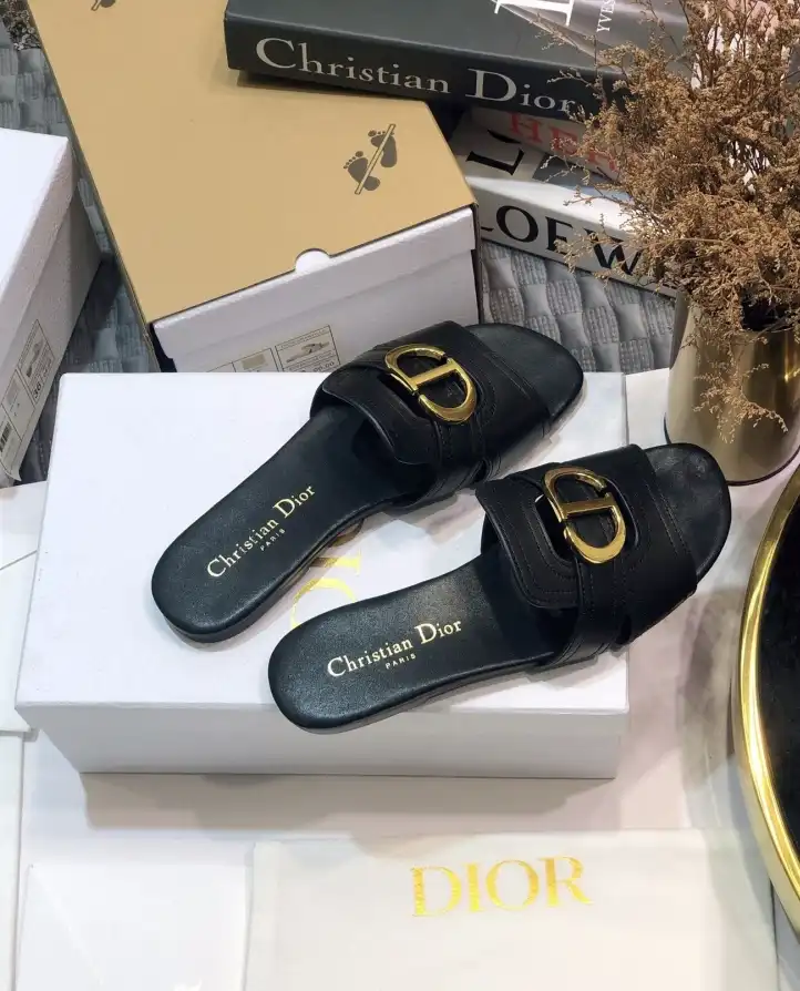 hype Christian Dior Slippers