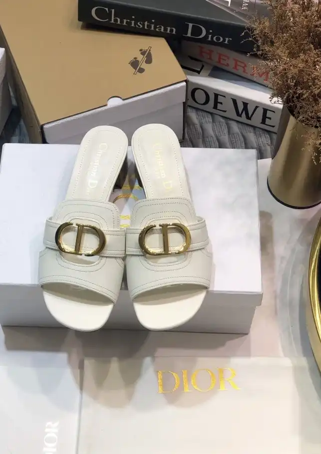 hype Christian Dior Slippers