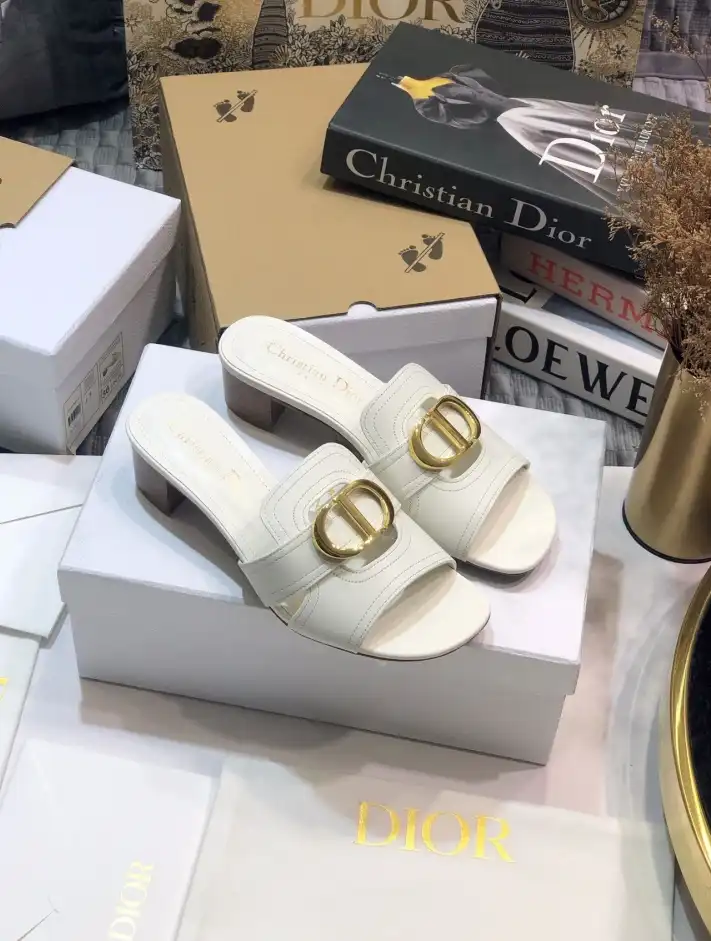 hype Christian Dior Slippers