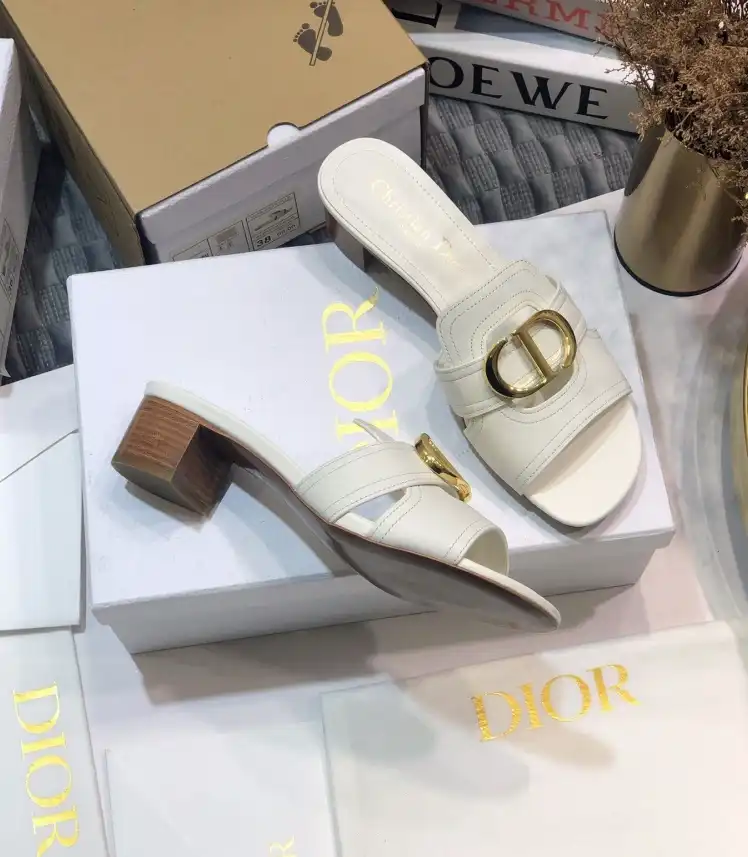 hype Christian Dior Slippers