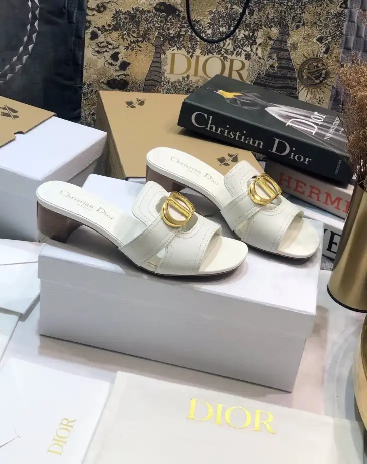 hype Christian Dior Slippers