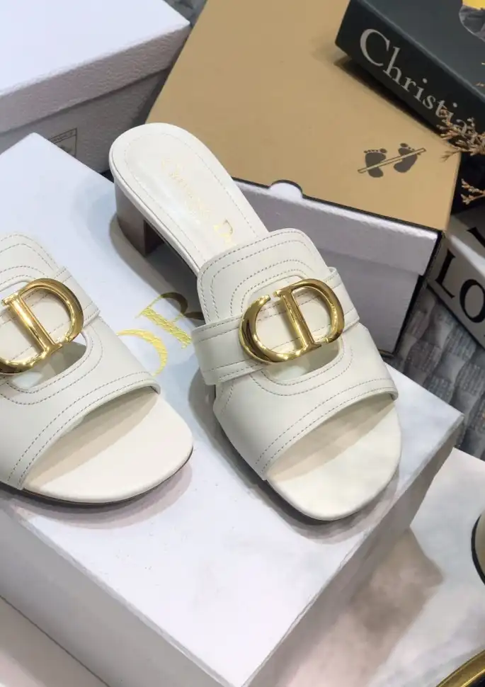 hype Christian Dior Slippers