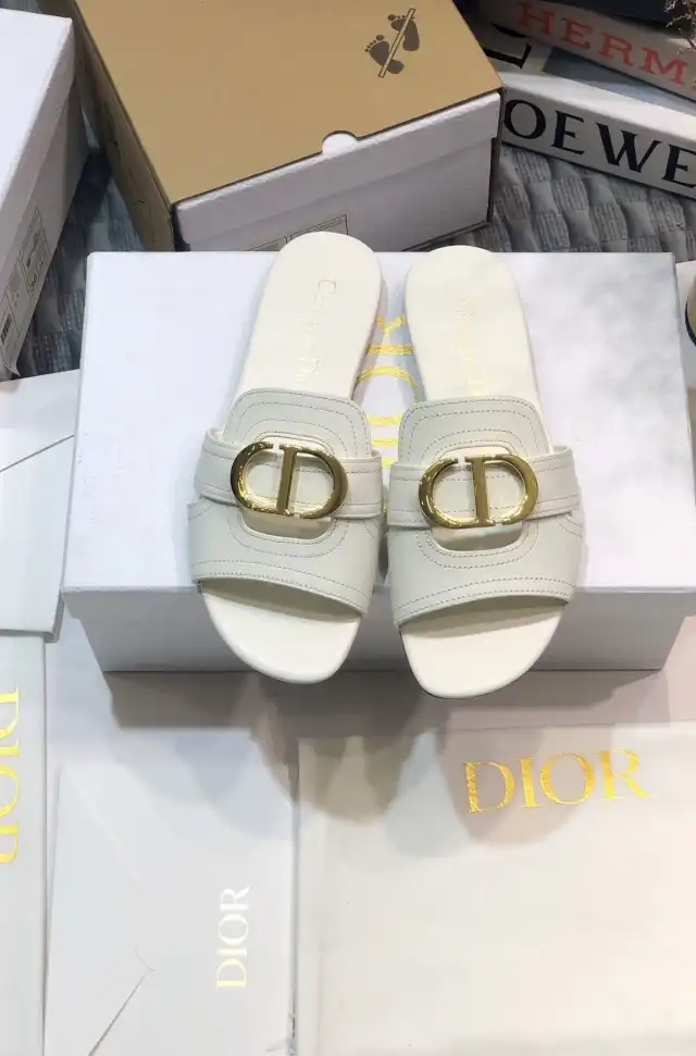 hype Christian Dior Slippers