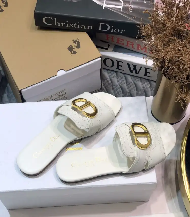 hype Christian Dior Slippers