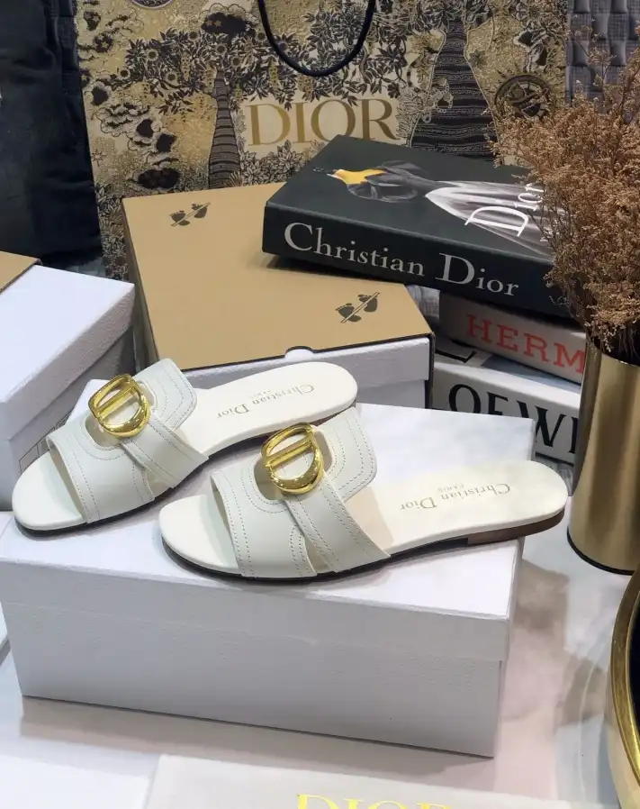 hype Christian Dior Slippers