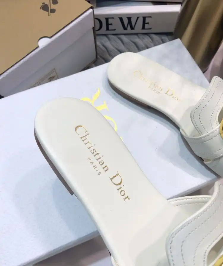 hype Christian Dior Slippers