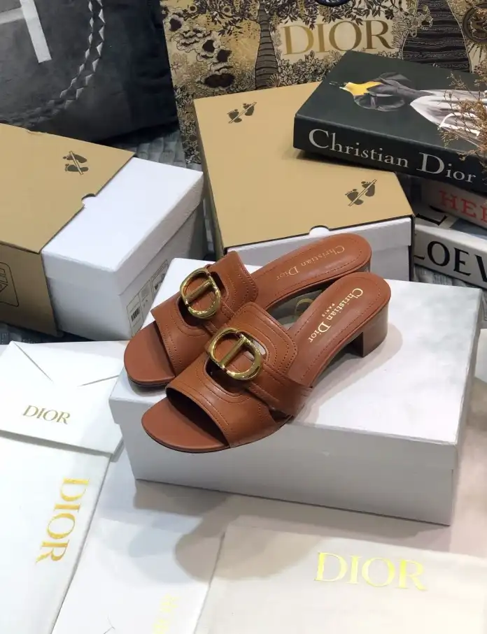 hype Christian Dior Slippers