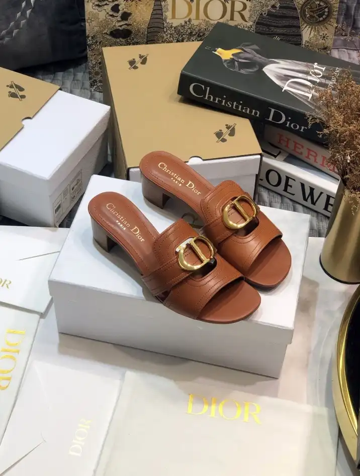 hype Christian Dior Slippers