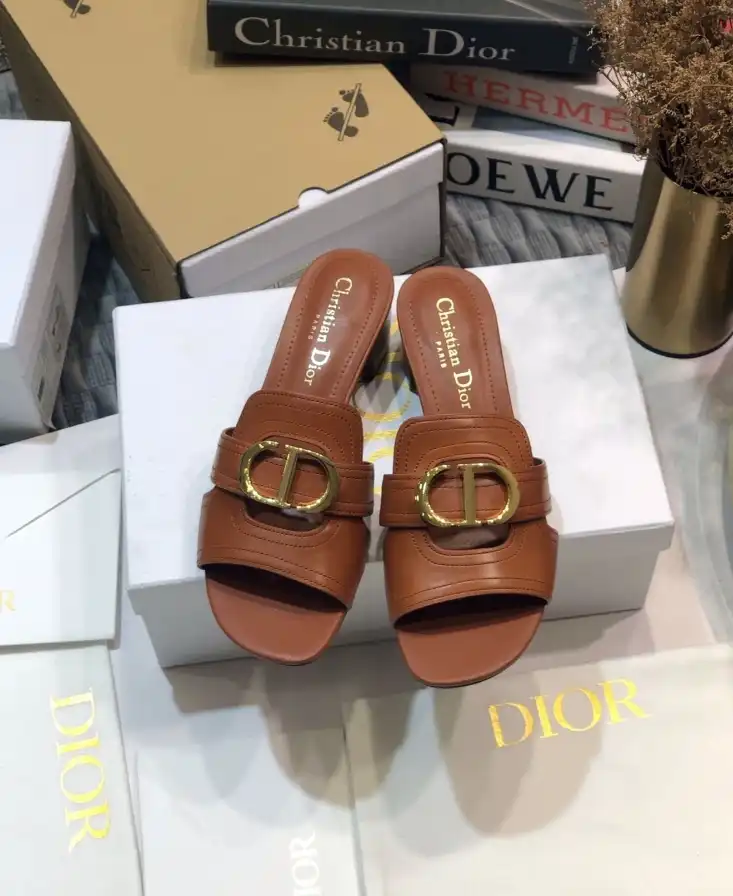 hype Christian Dior Slippers