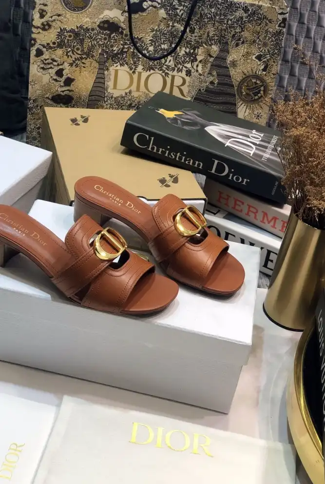 hype Christian Dior Slippers