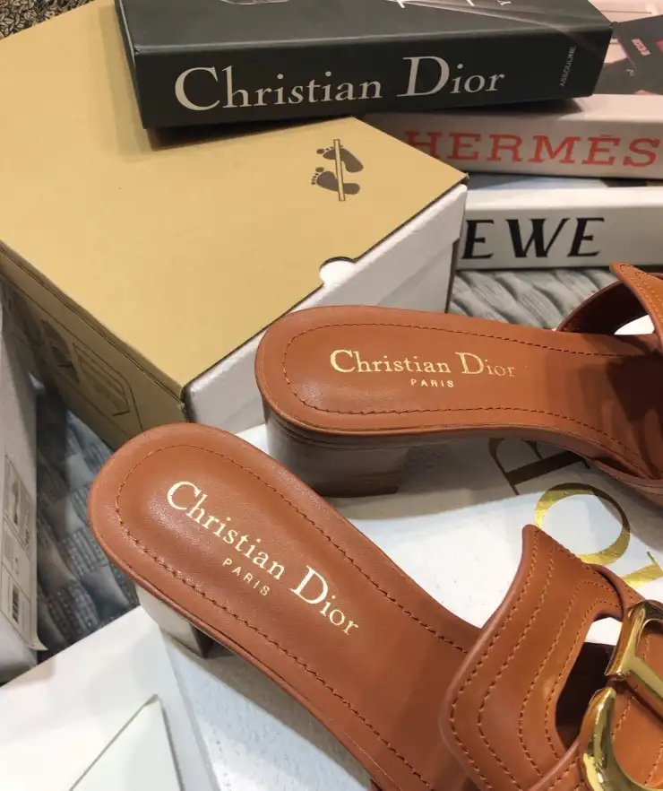 hype Christian Dior Slippers