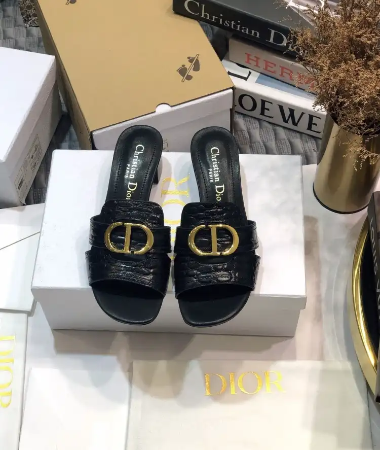 hype Christian Dior Slippers