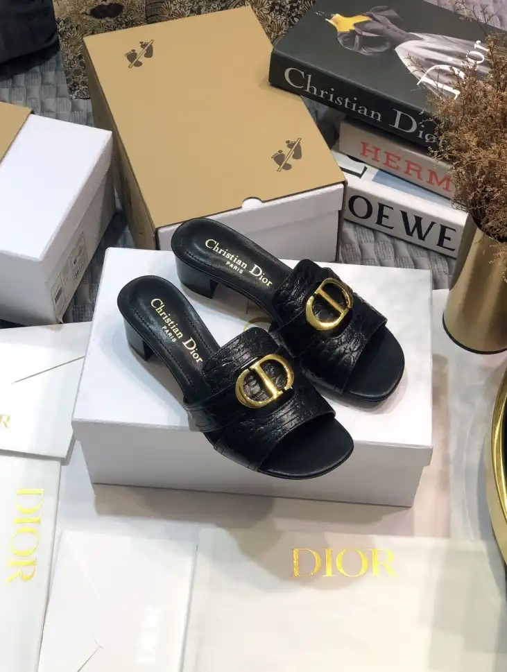 hype Christian Dior Slippers