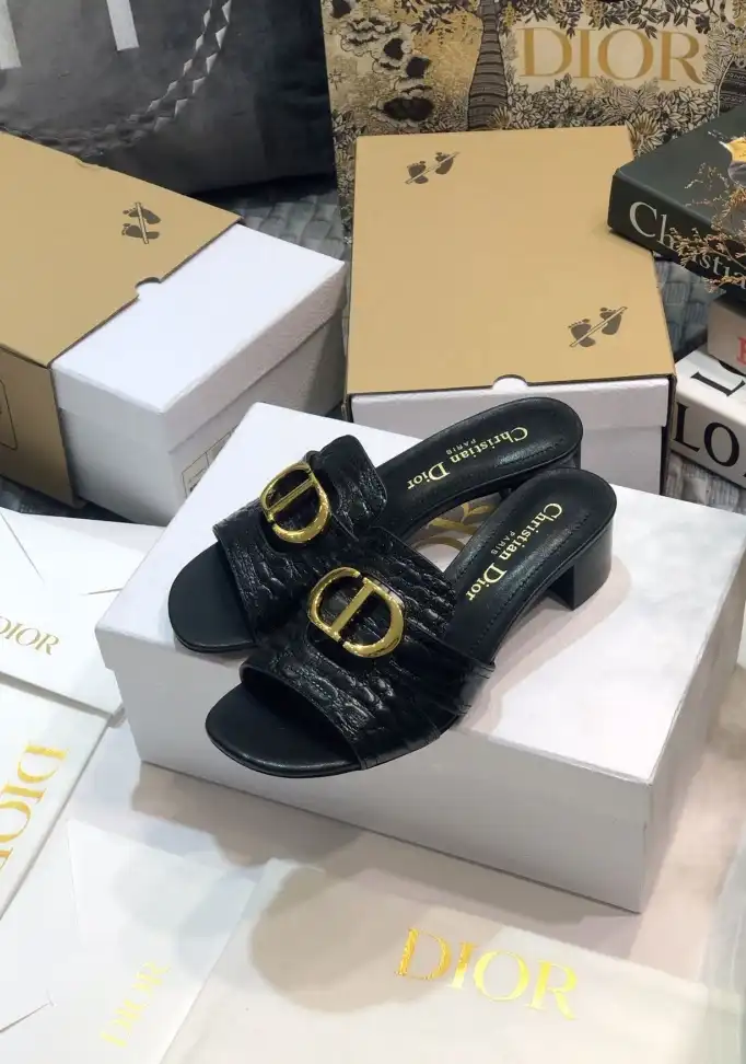 hype Christian Dior Slippers