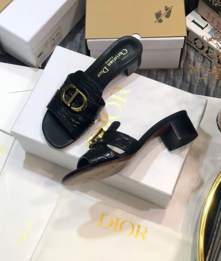 hype Christian Dior Slippers