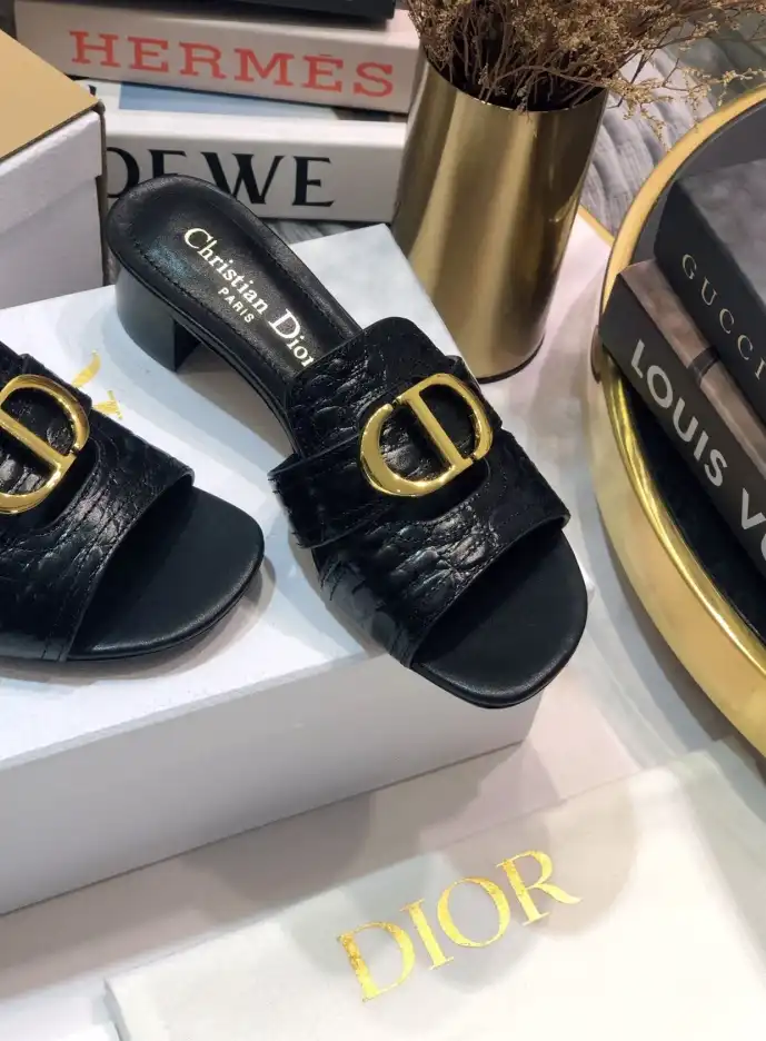 hype Christian Dior Slippers