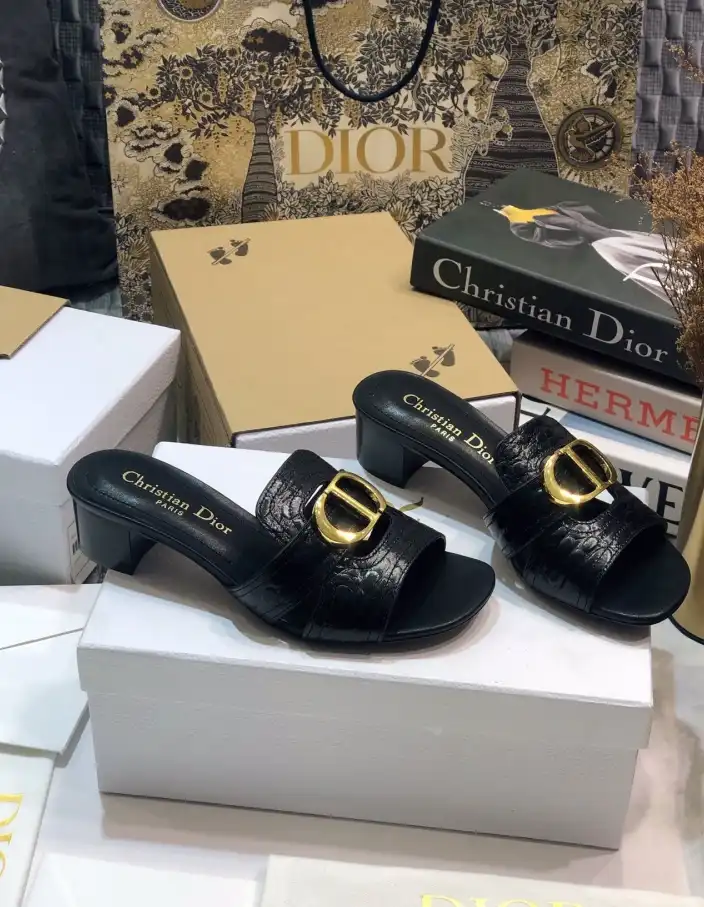 hype Christian Dior Slippers