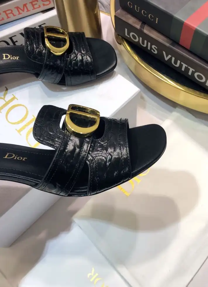 hype Christian Dior Slippers