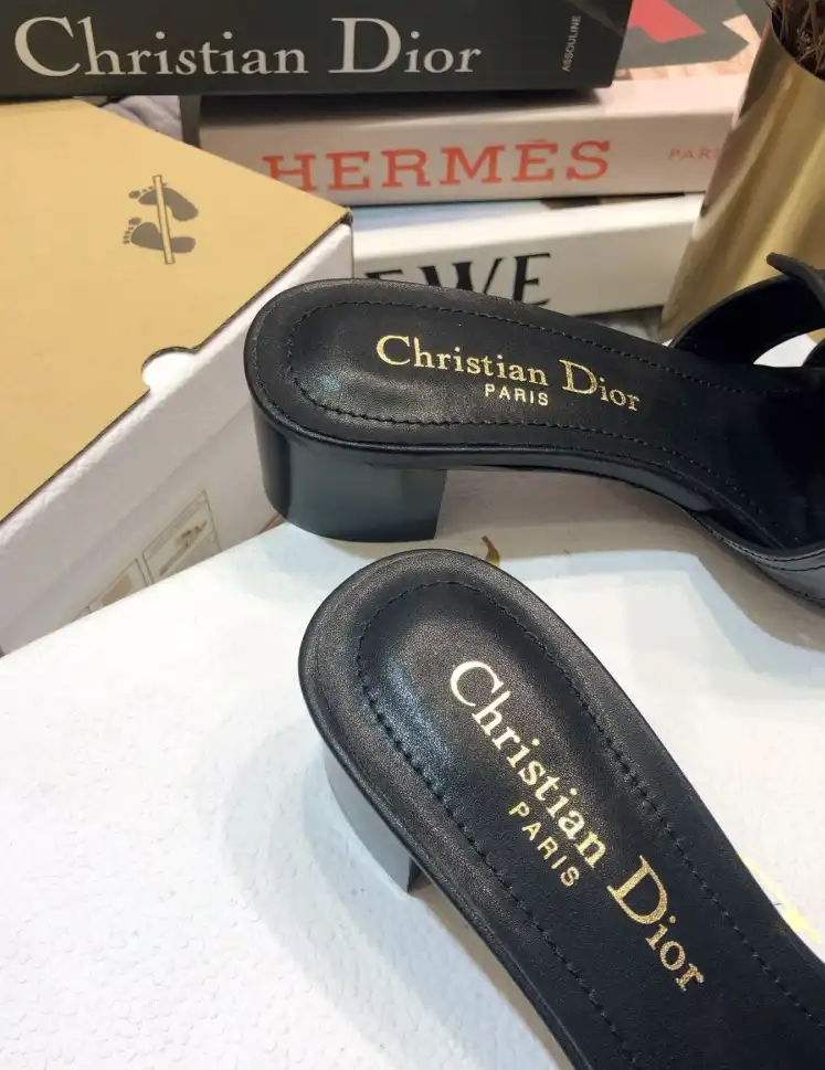 hype Christian Dior Slippers