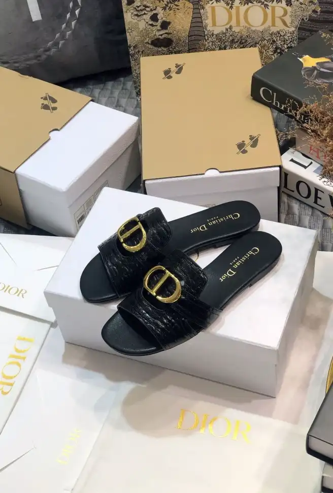 hype Christian Dior Slippers