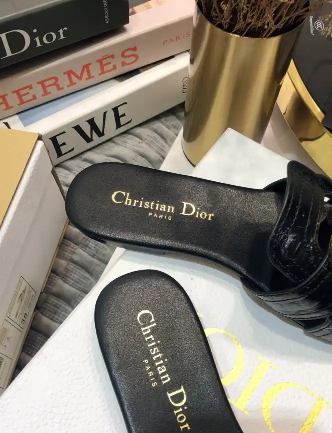 hype Christian Dior Slippers