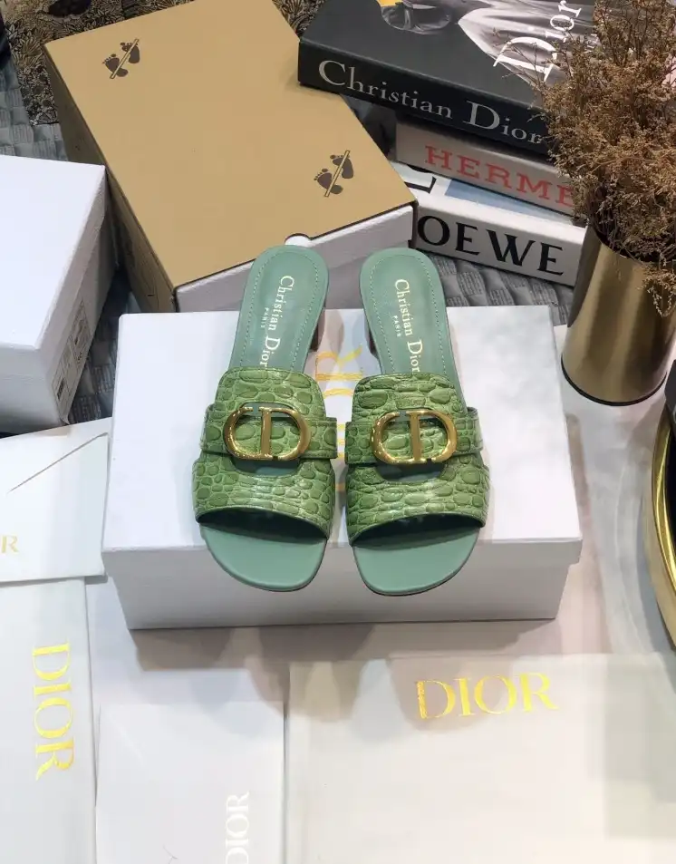 hype Christian Dior Slippers