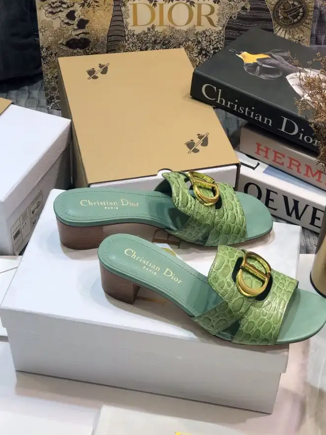 hype Christian Dior Slippers