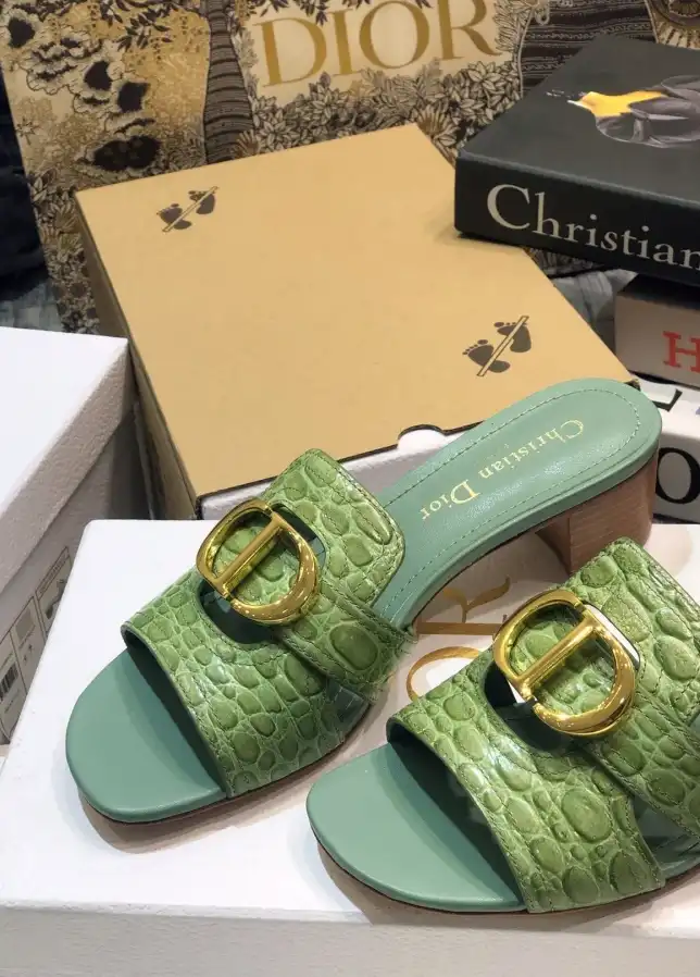 hype Christian Dior Slippers