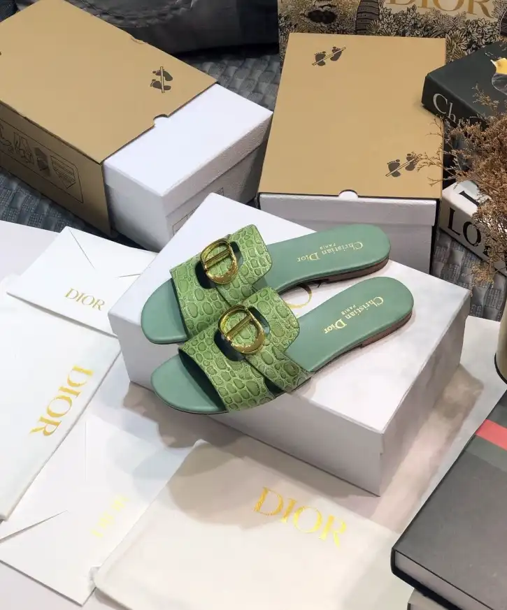 hype Christian Dior Slippers