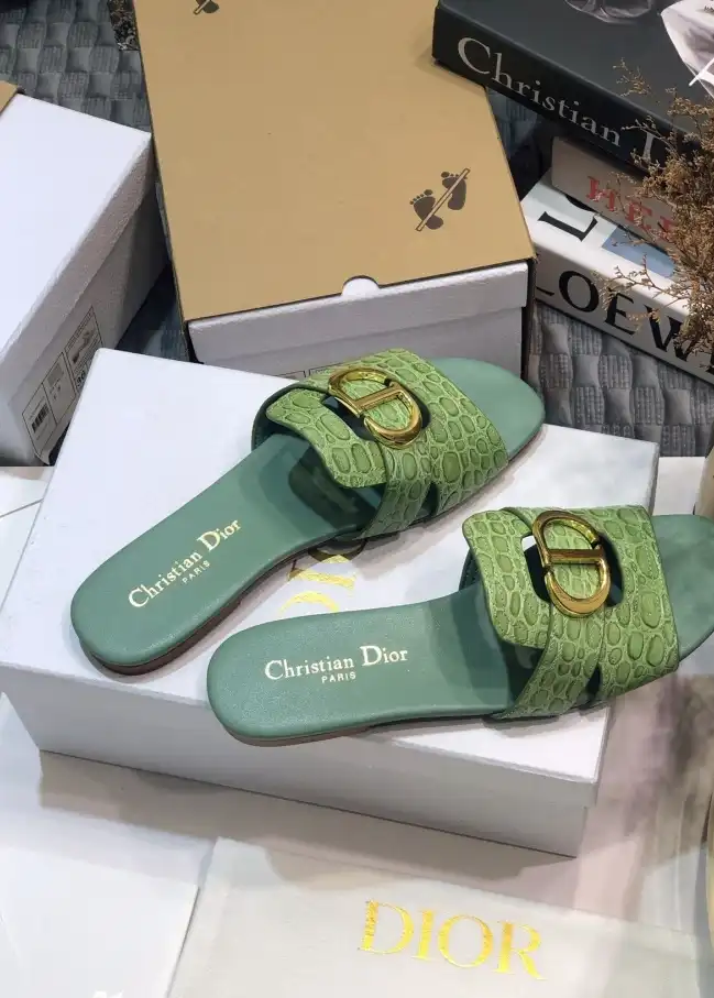 hype Christian Dior Slippers