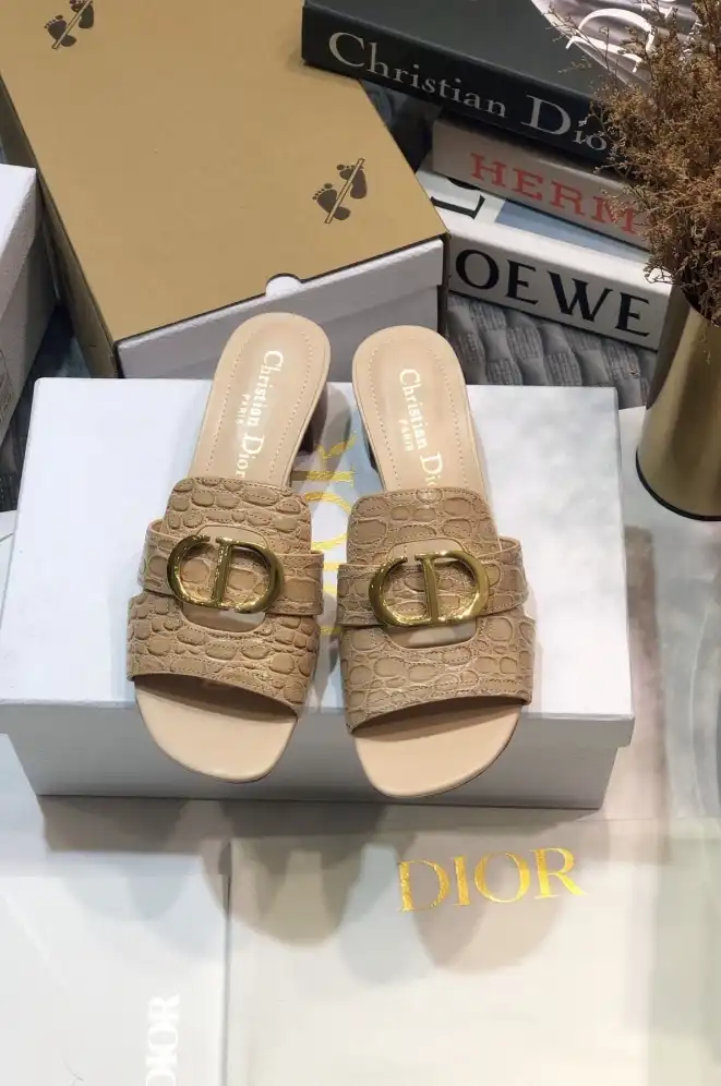 hype Christian Dior Slippers