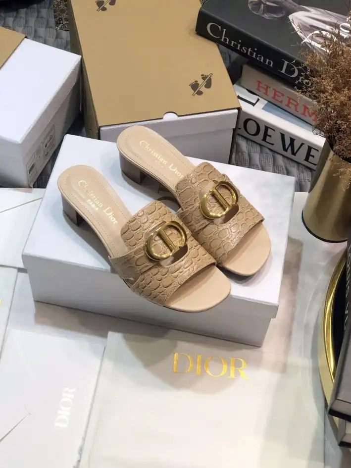 hype Christian Dior Slippers