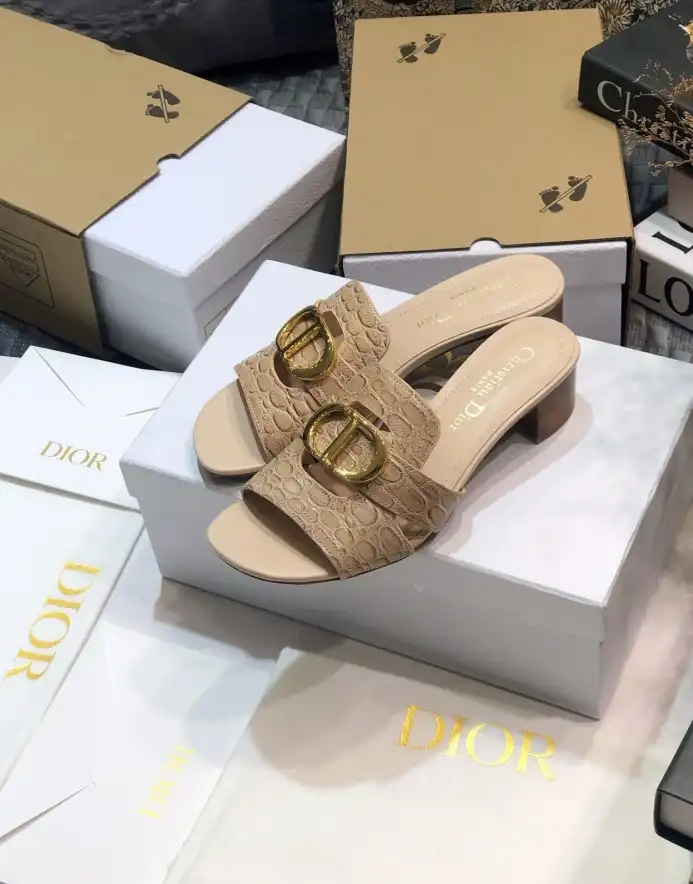 hype Christian Dior Slippers