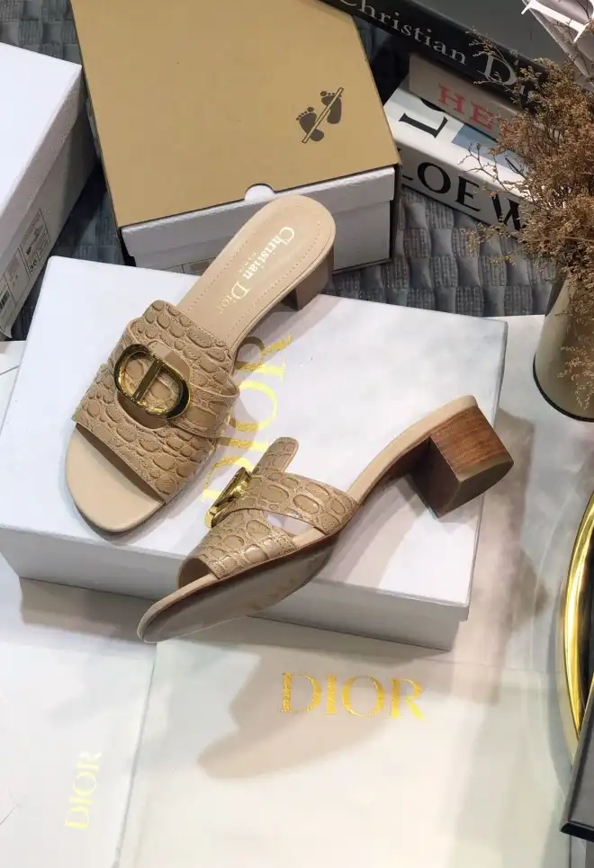 hype Christian Dior Slippers