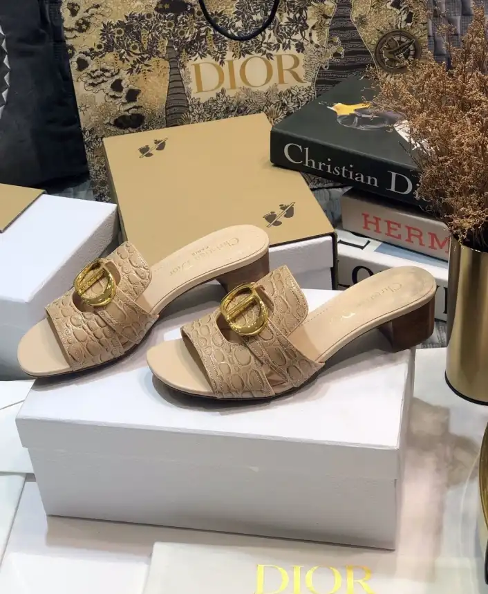 hype Christian Dior Slippers