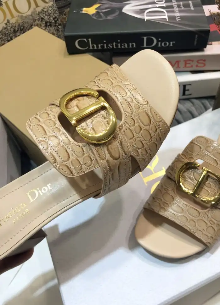 hype Christian Dior Slippers