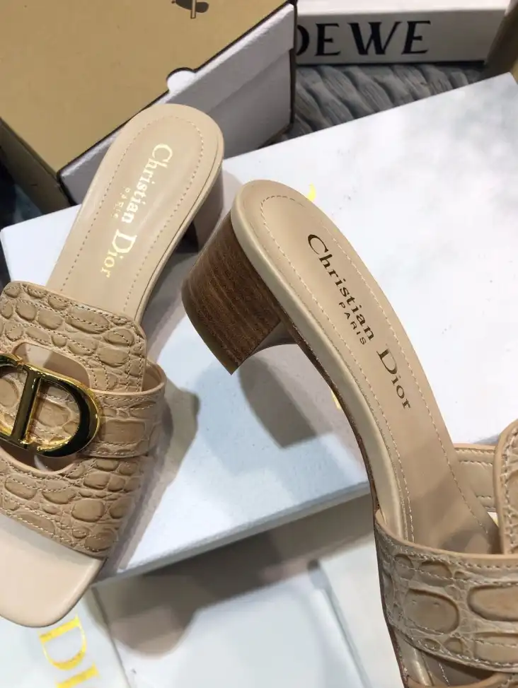 hype Christian Dior Slippers