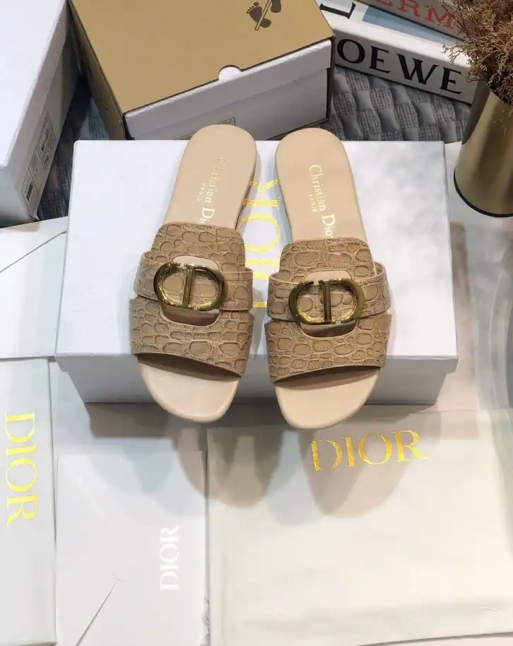 hype Christian Dior Slippers