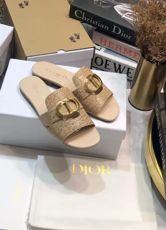 hype Christian Dior Slippers