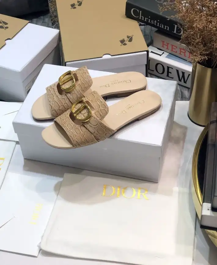 hype Christian Dior Slippers