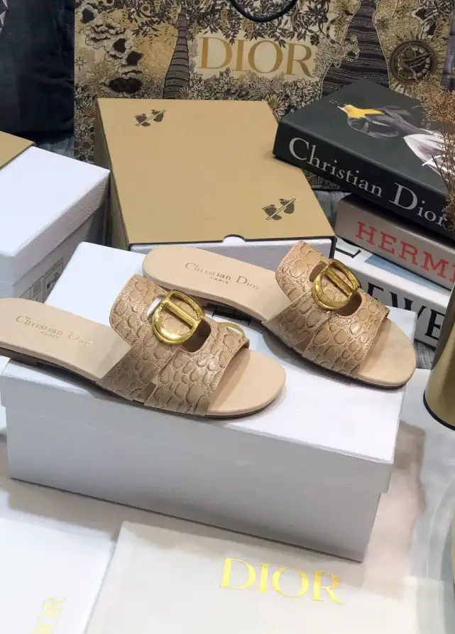 hype Christian Dior Slippers