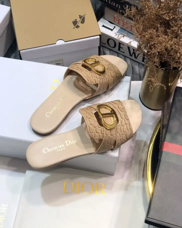 hype Christian Dior Slippers