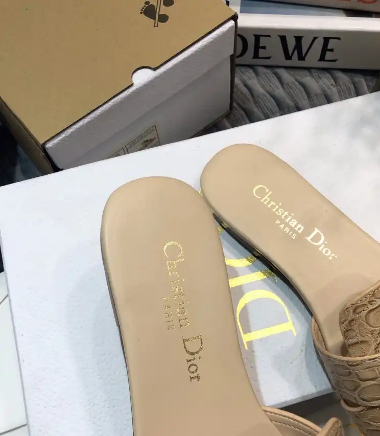 hype Christian Dior Slippers