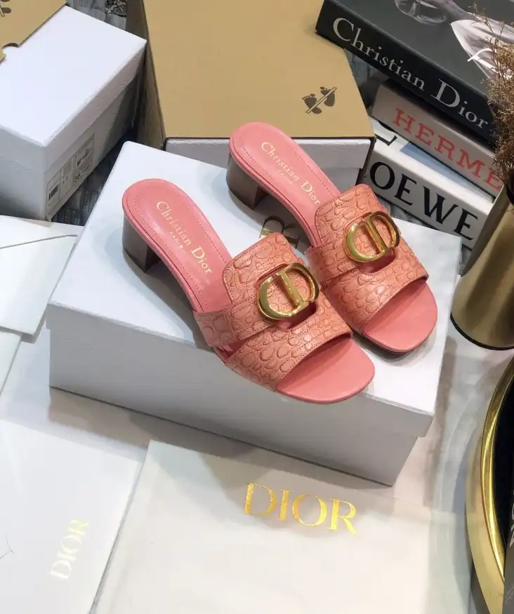 hype Christian Dior Slippers