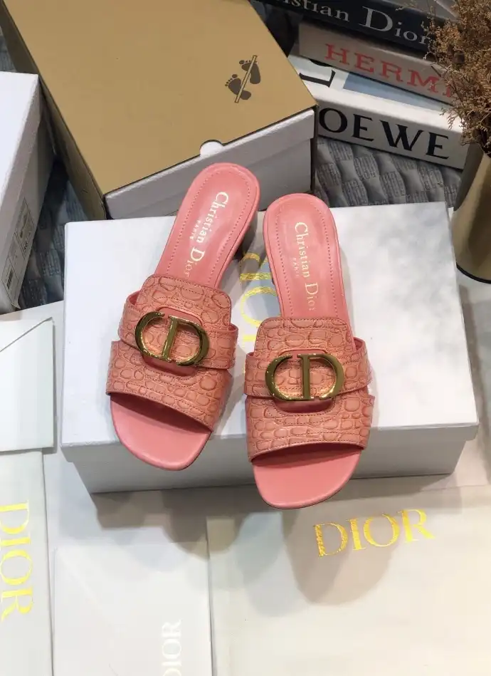 hype Christian Dior Slippers