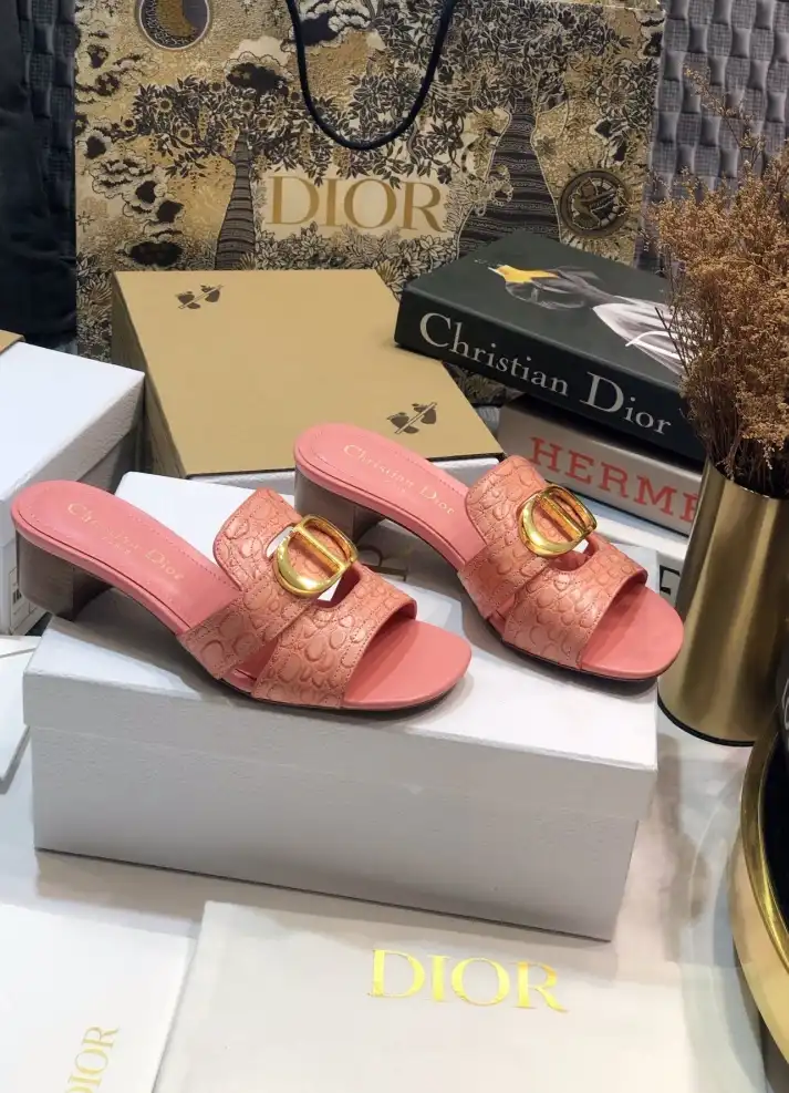 hype Christian Dior Slippers