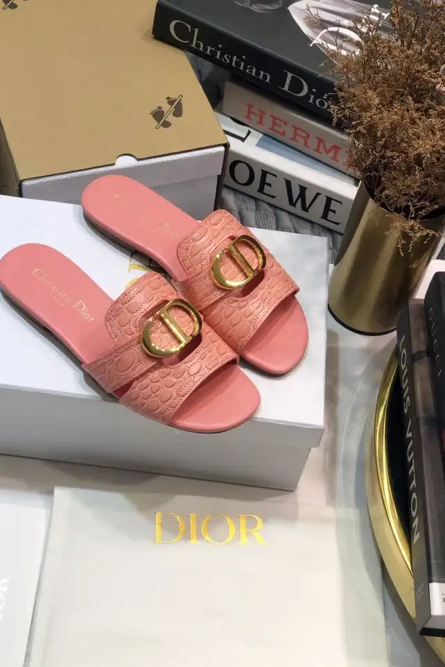 hype Christian Dior Slippers