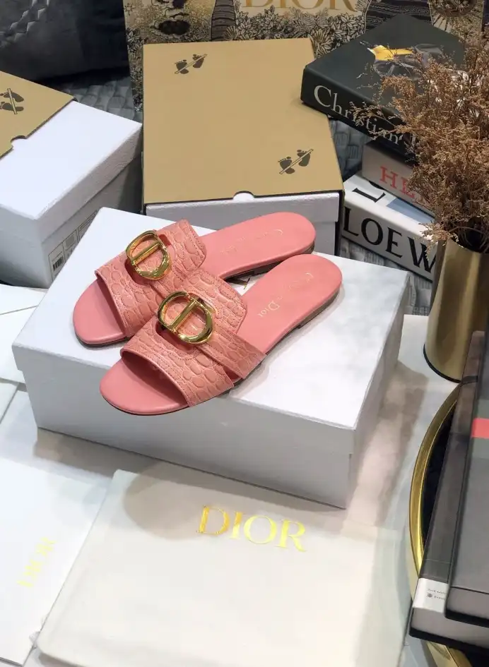 hype Christian Dior Slippers