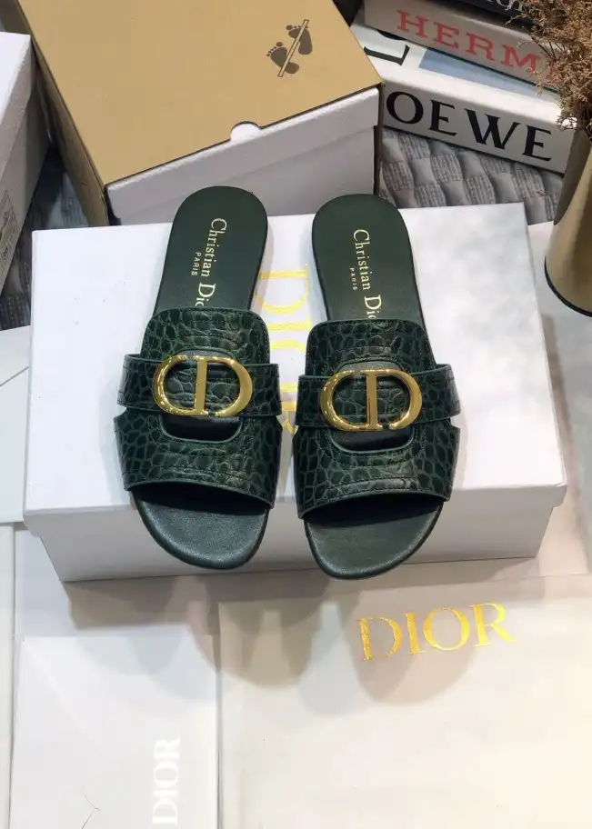 hype Christian Dior Slippers